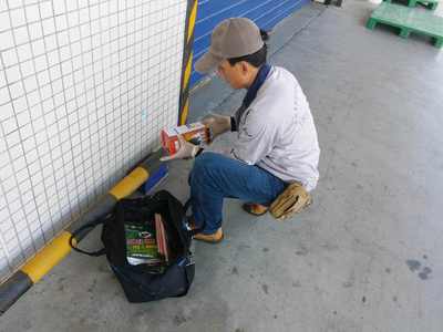 食品廠老鼠防治方案，早用早省心 清潔服務助您無憂經營